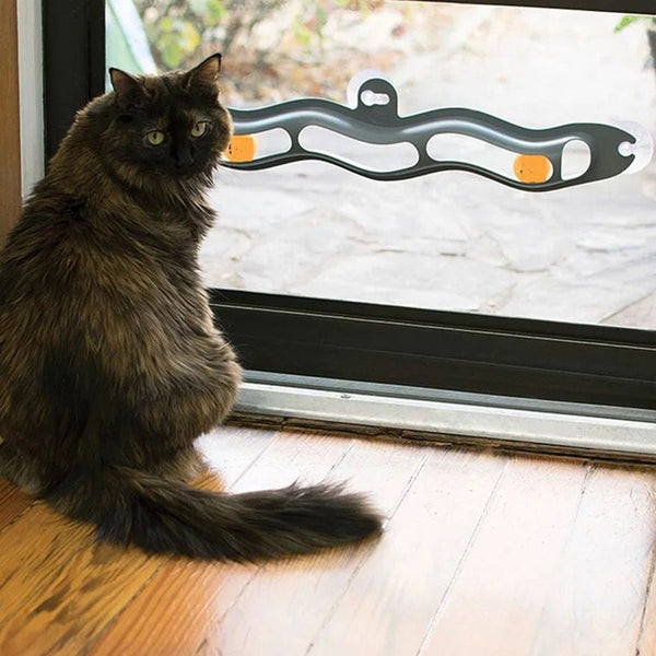 Circuito de bolas para gatos
