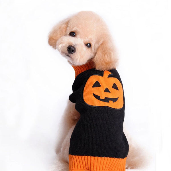 Jersey de punto con calabaza para perros
