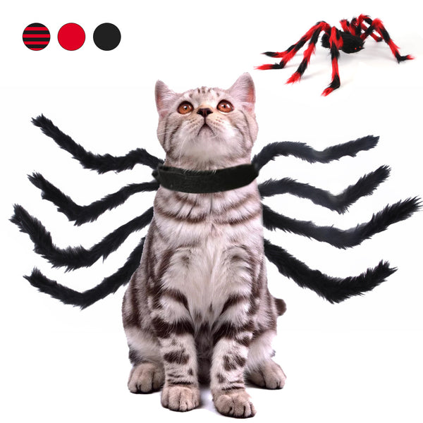 Disfraz de araña para perros y gatos