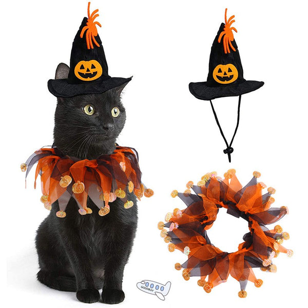 Sombrero de bruja para perros y gatos
